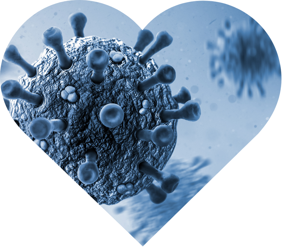 Recover: Immunity & Supplements